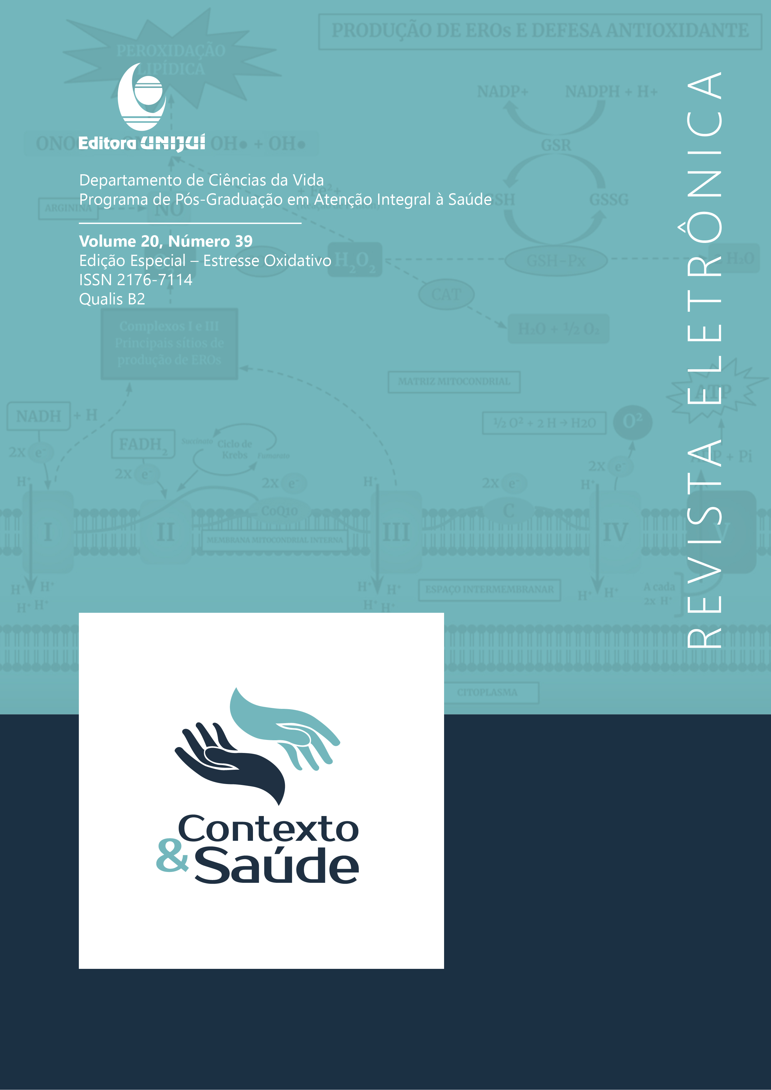 					Visualizar v. 20 n. 39 (2020): EDIÇÃO ESPECIAL - Estresse Oxidativo
				